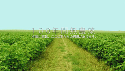100年間無農薬